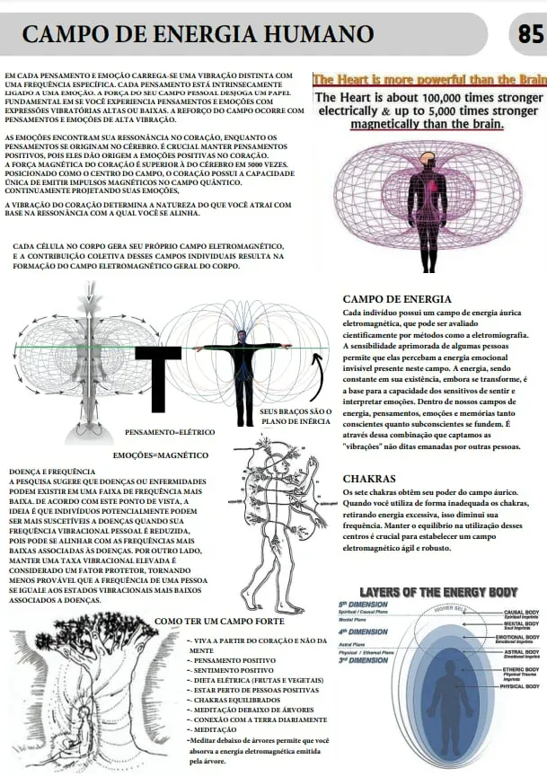 imgi_90_1259699_1_17376074716791c930043dc7590105911259844