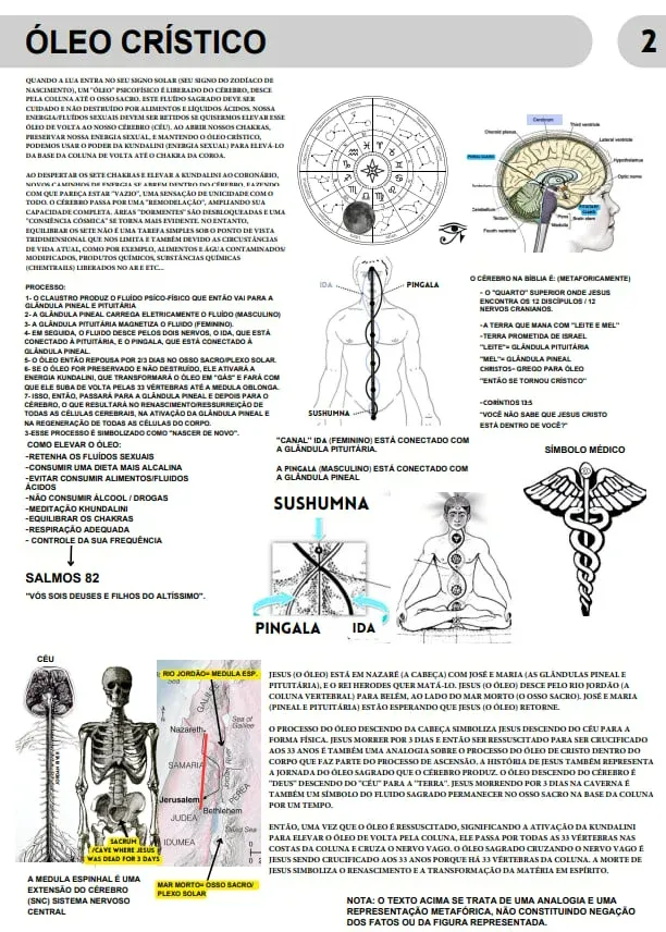 imgi_92_1259699_1_17376074716791c930043dc7590105912079164