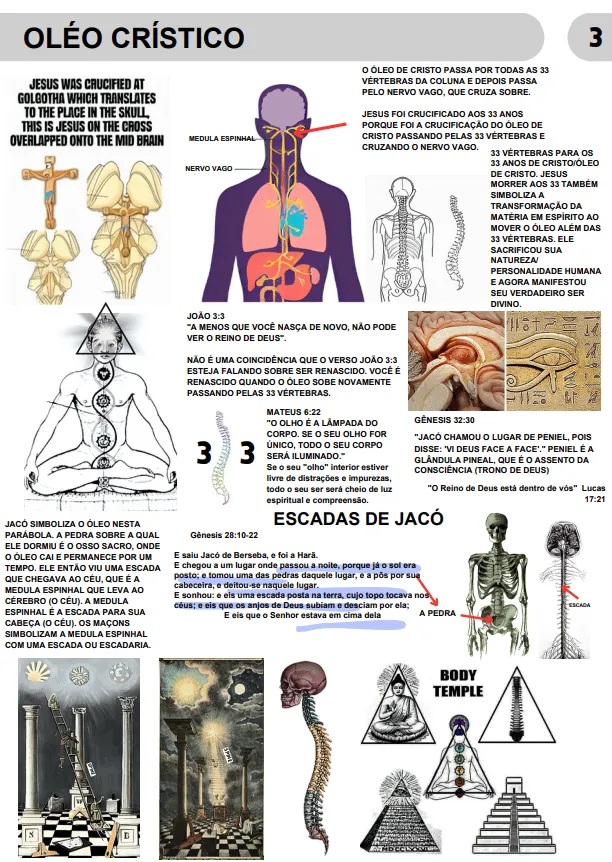 imgi_93_1259699_1_17376074716791c930043dc7590105911653963